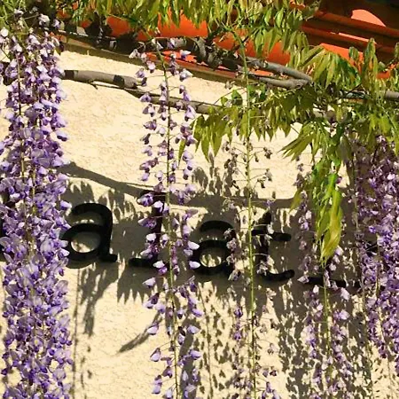 Cozy In Minervois With Swimming Pool * Caunes-Minervois