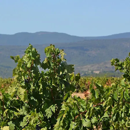 וילה Cozy In Minervois With Swimming Pool Caunes-Minervois